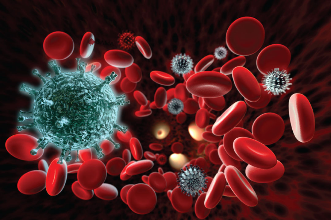 Bloodborne Pathogens